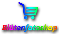 Link zum Onlineshop